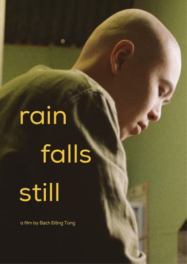 Rain Falls Still