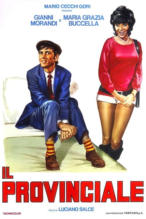 Il provinciale