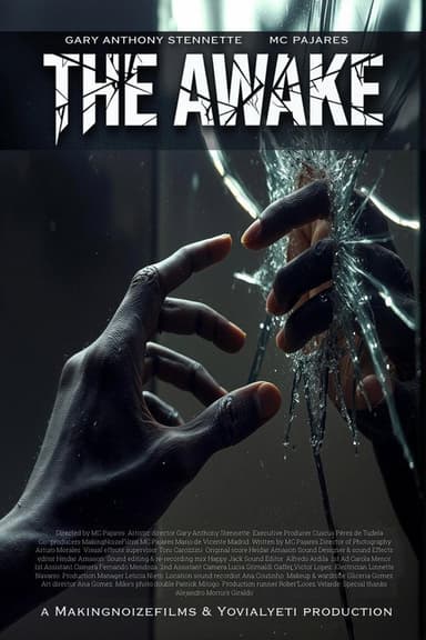 The Awake