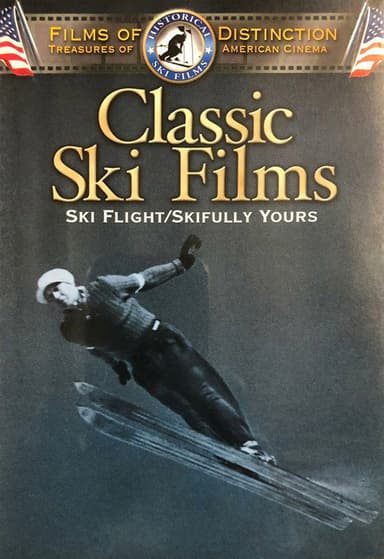 Snow Flight