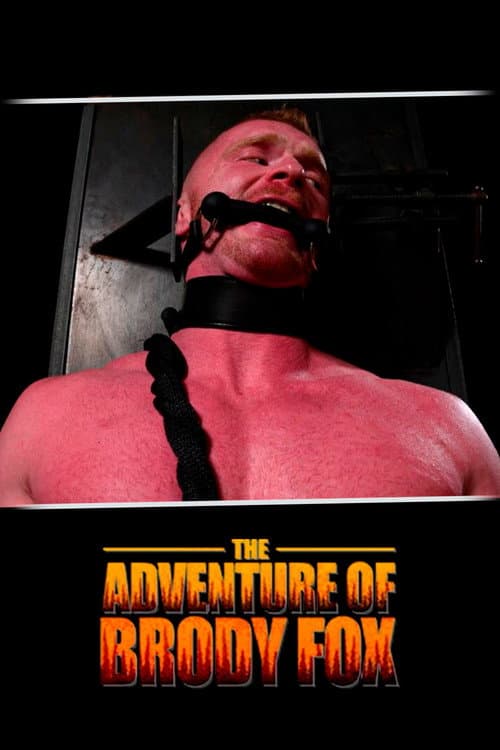 The Adventure of Brody Fox