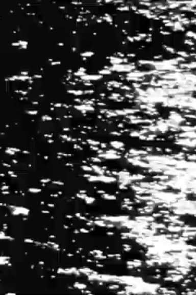 Waiting to Disappear
