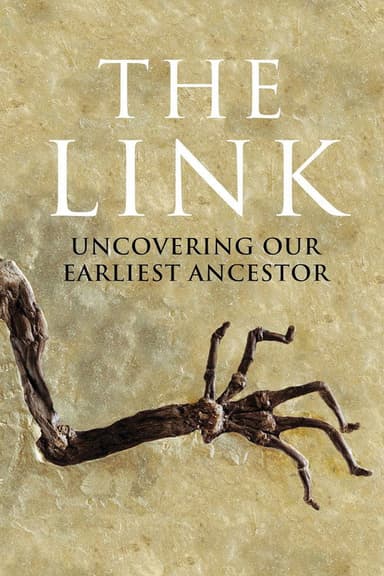 Uncovering Our Earliest Ancestor: The Link