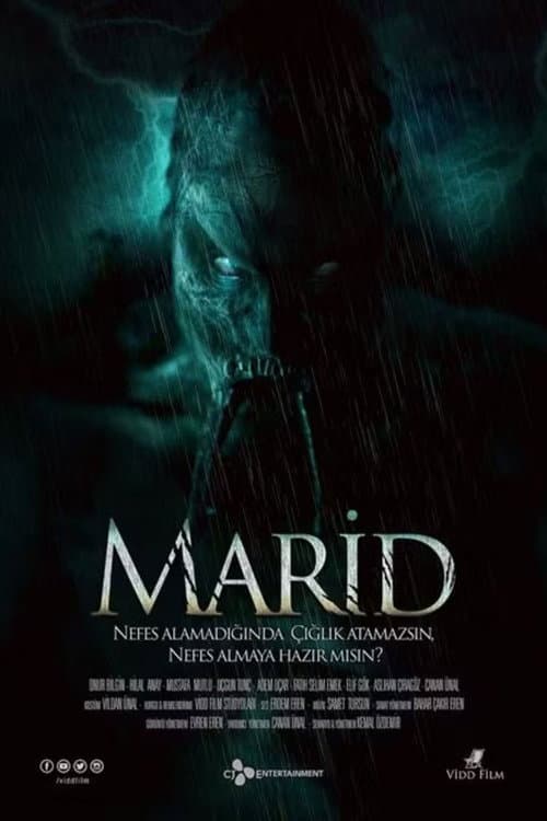 Marid