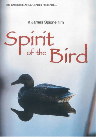 Spirit of the Bird