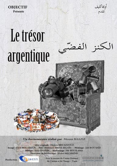 The Silver Treasure
