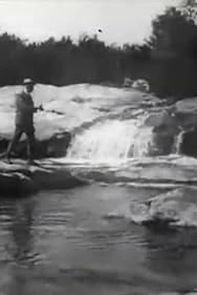 Brook Trout Fishing