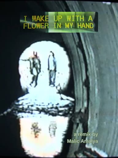 I Wake Up With a Flower in My Hand