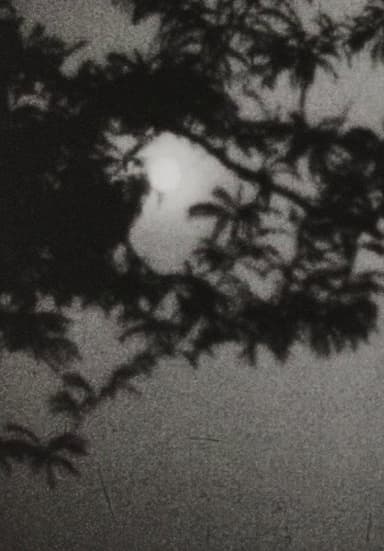 Moonplay