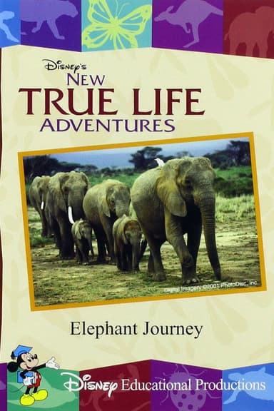 Elephant Journey