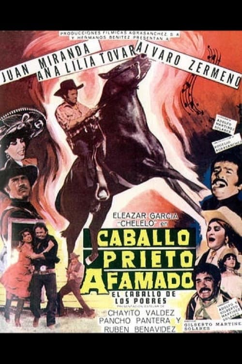Caballo Prieto Afamado