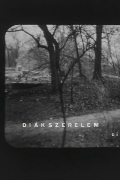 Diákszerelem