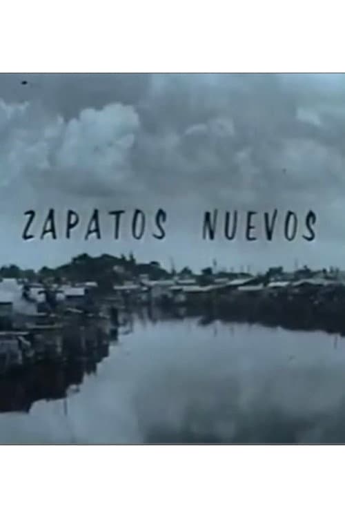 Zapatos nuevos