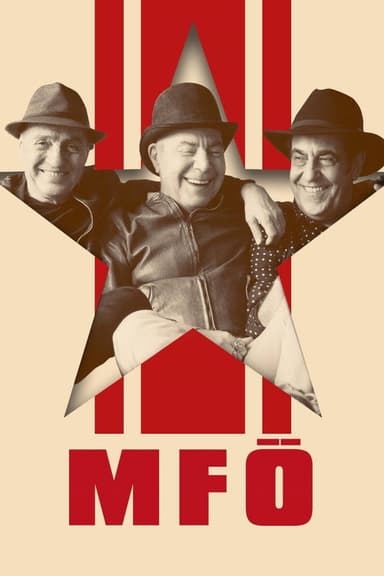MFÖ Akustik