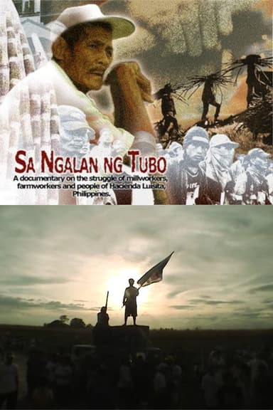 In the Name of the Sugarcane