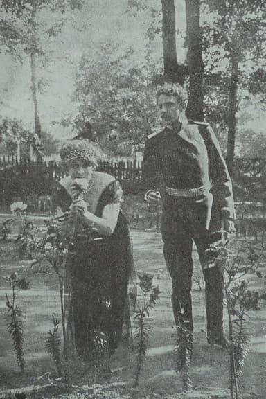 In The Nets of German Espionage