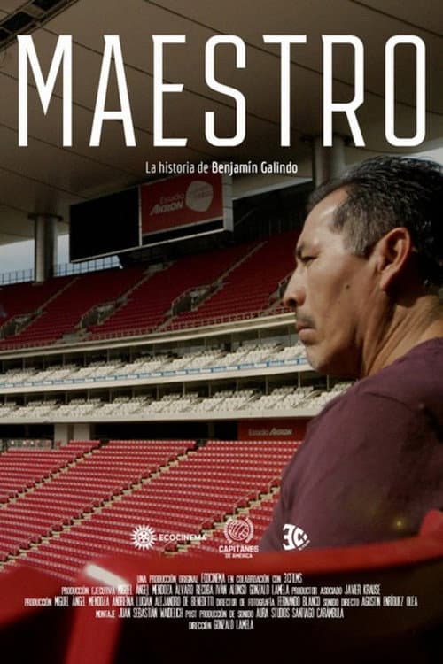 The Master: Benjamin Galindo's Film