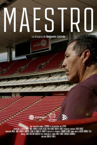 The Master: Benjamin Galindo's Film
