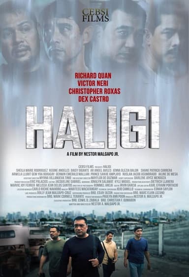 Haligi