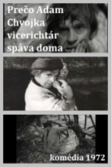 Adam Chvojka vicerichtár
