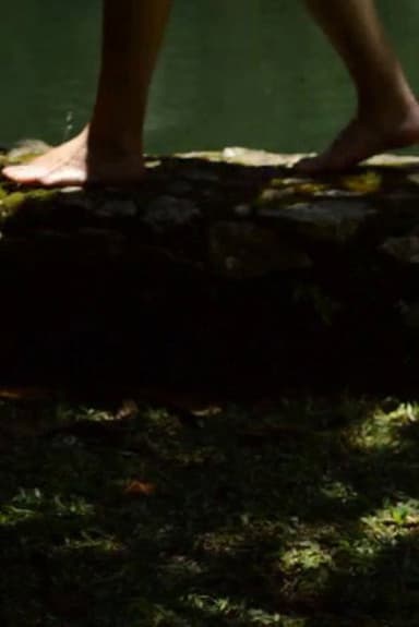 Sonho Verde