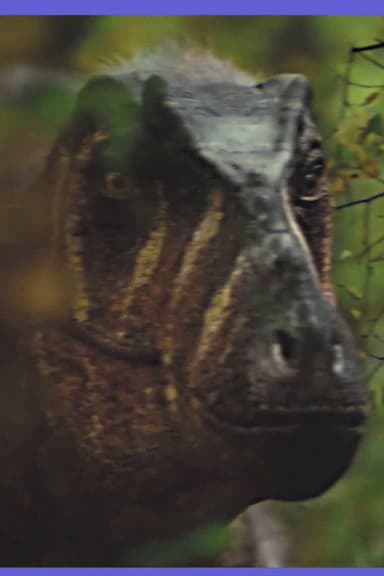 Paleontology Club Promo