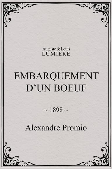 Embarquement d’un boeuf