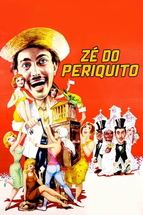 Zé do Periquito