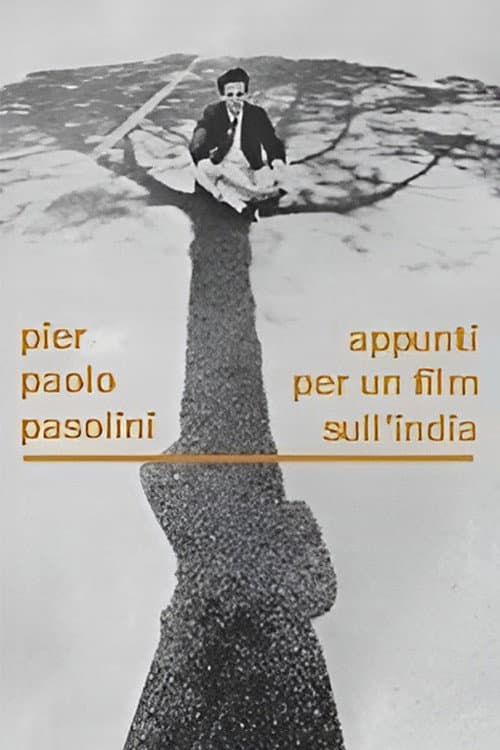 Notes for a Film in India