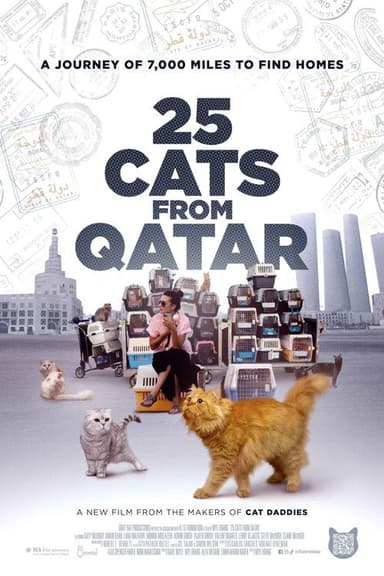 25 Cats from Qatar