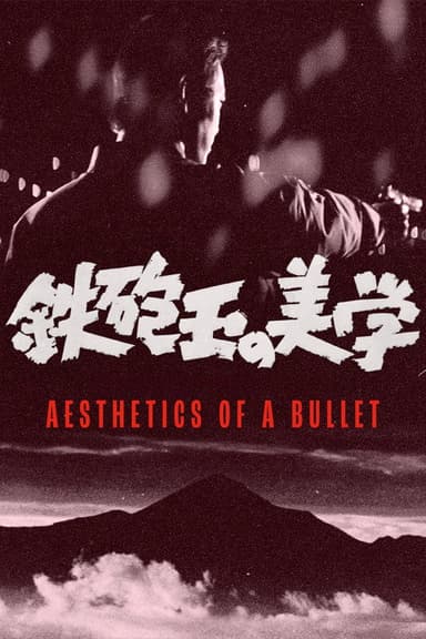 Aesthetics of a Bullet