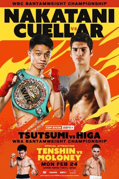 PRIME VIDEO BOXING 11