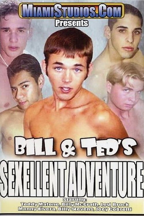Bill & Ted's Sexellent Adventure
