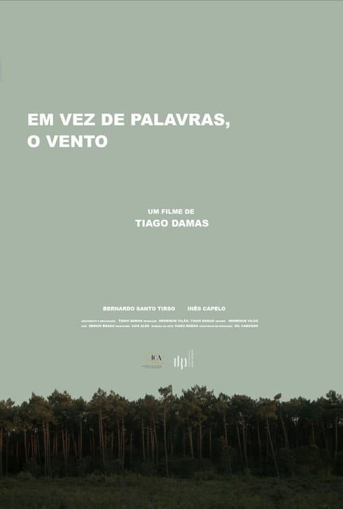 Em vez de palavras, o vento