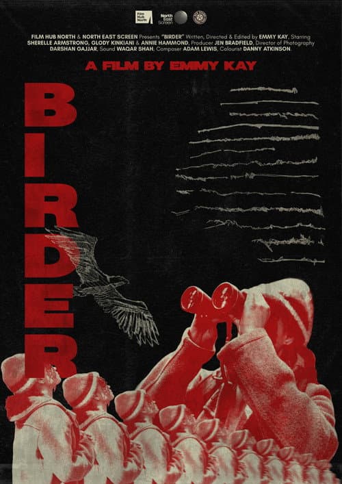 Birder