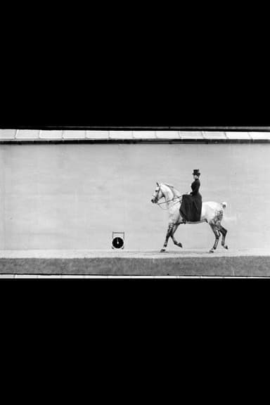 Bay Horse, Ridden by Thérèse Rentz, Canter