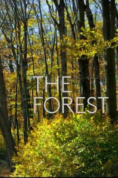 The Forest