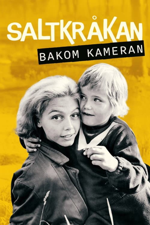 Saltkråkan - bakom kameran