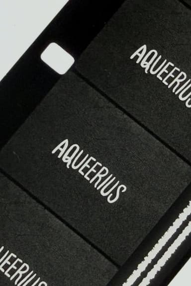 Aqueerius