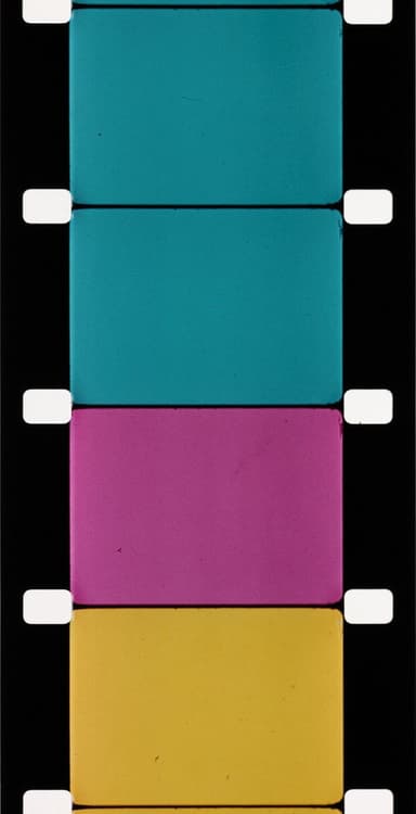 Analytical Studies I: The Film Frame