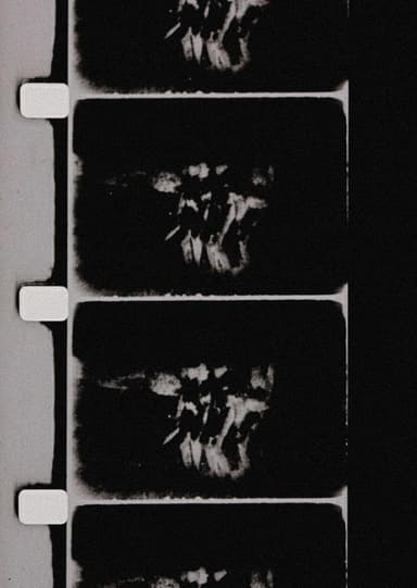 Studies in Image (de) Generation