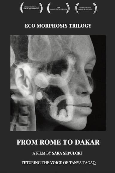 From Rome to Dakar