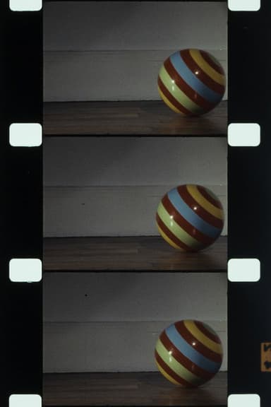 Balance Ball