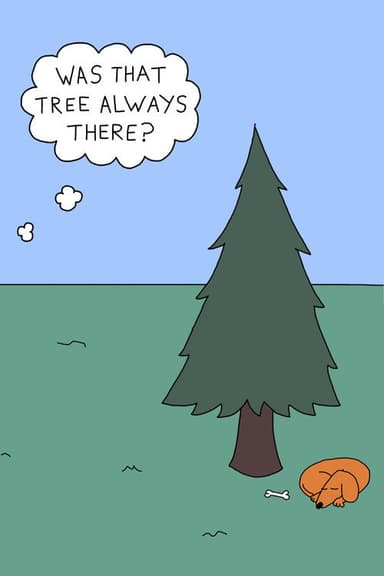 Was That Tree Always There?