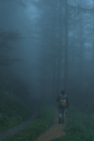 Men Wandering in the Mountain