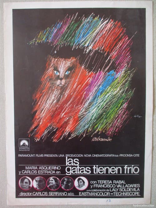 Las gatas tienen frío
