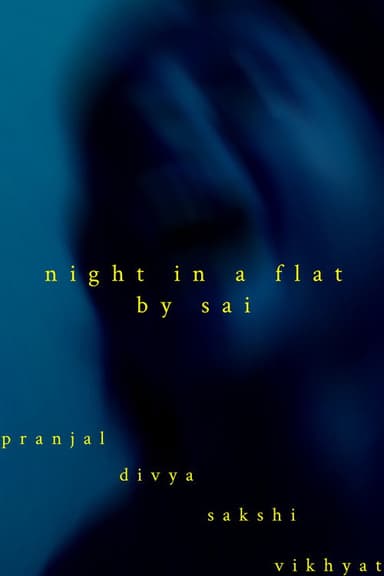 NIGHT IN A FLAT