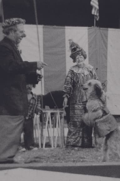 Circus
