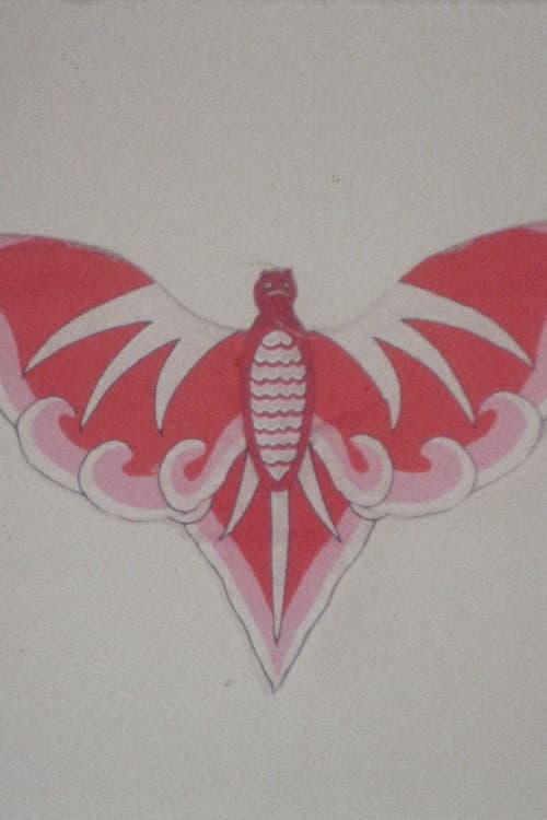 Bat Kite Lucy Robin