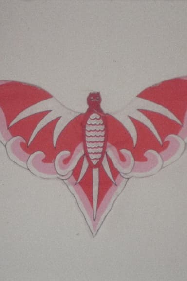 Bat Kite Lucy Robin